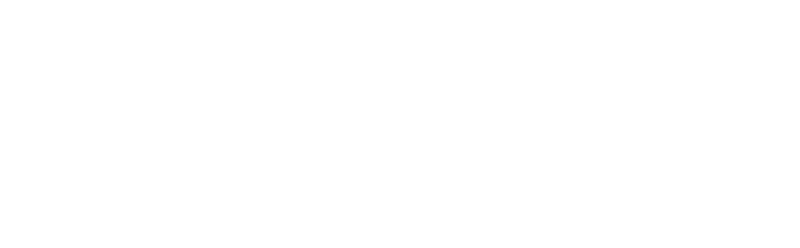 Logo ABRACEM — Associação Brasileira de Consultores Empresariais